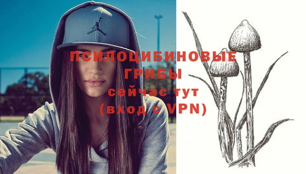 mdpv Балахна