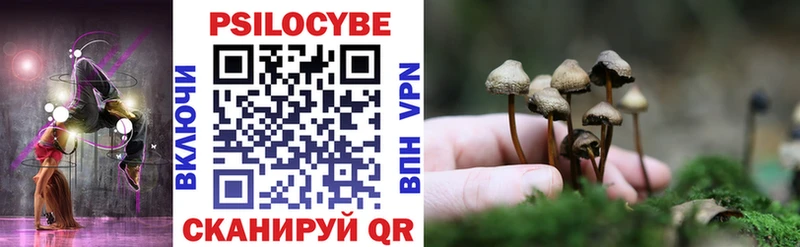 купить наркотик  Буинск  Галлюциногенные грибы Psilocybe 